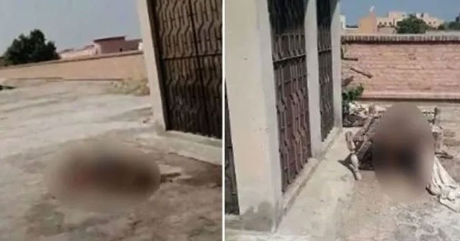 Probe launched as rotting bodies on Nishtar Hospital's roof spook social media