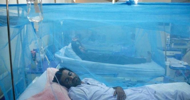 Rawalpindi reports record hike in dengue cases in 24hours