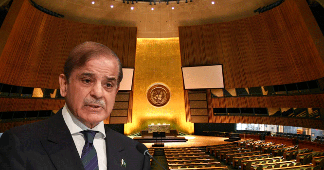 Pakistan given vice-chairmanship of UN climate conference