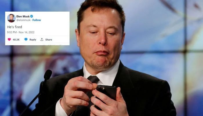 Elon Musk fires developer on Twitter after he questioned chief's assessment