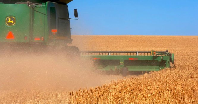 Pakistan approves plan to import 300,000-tonne wheat from Russia Pakistan approves plan to import 300,000-tonne wheat from Russia