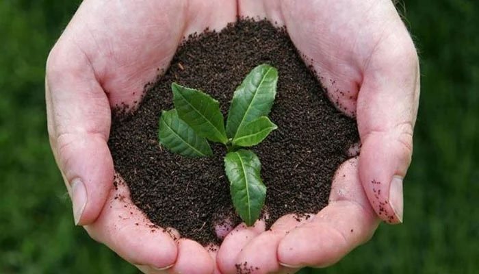 Pakistan's tea imports increase by 2.21% to $192 million during 4MFY23