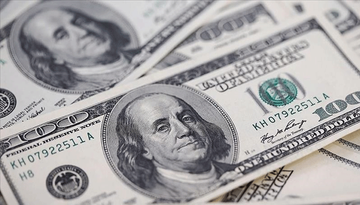 Alarming: Foreign exchange reserves plunge to lowest since 2019
