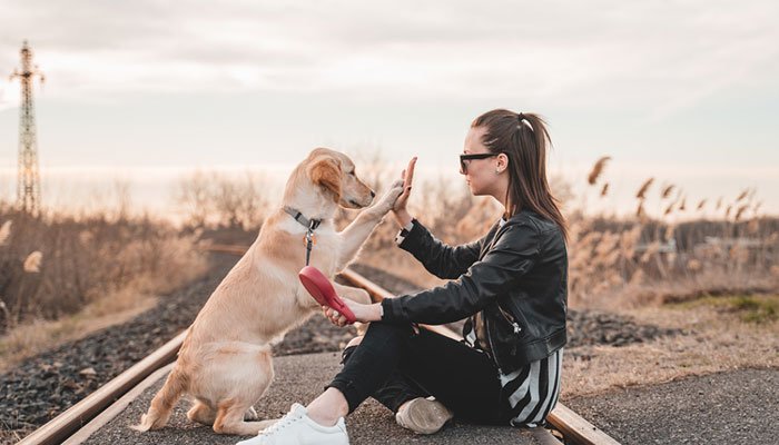AI might make it possible for you to talk to your pet AI might make it possible for you to talk to your pet