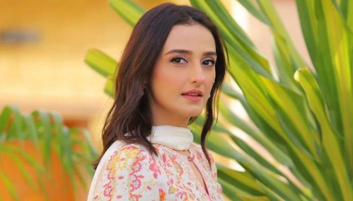 Momal Sheikh gets UAE’s Golden Visa - FactFile