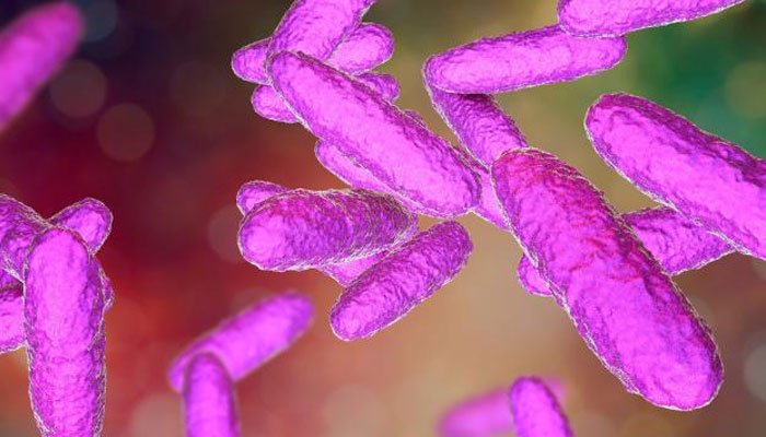 Bacterial outbreak leaves four dead in Seattle hospital