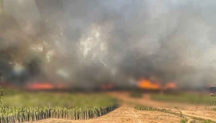 Wildfires force Canada’s Alberta to declare state of emergency Wildfires force Canada's Alberta to declare state of emergency