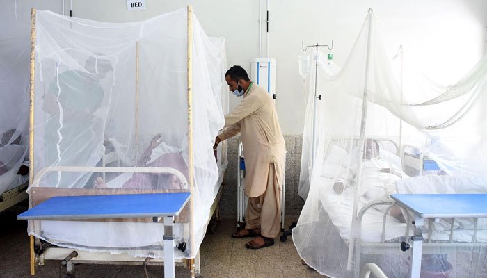 Dengue continues to surge in Punjab; 15,113 cases this year