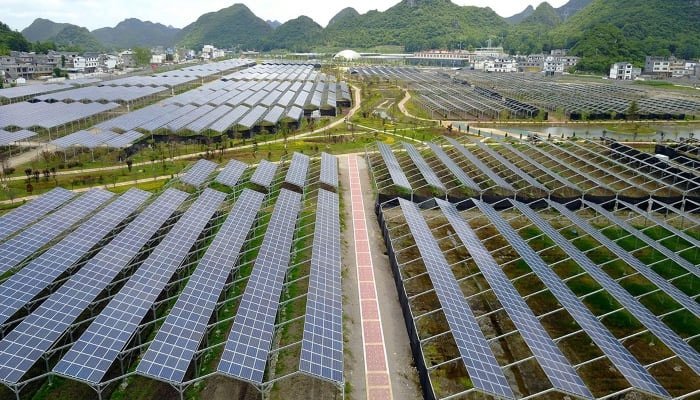 China achieves significant progress towards dual carbon goals in 2023
