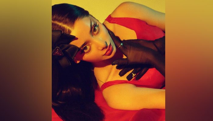 Alizeh Shah shares new romantic look on Valentine’s Day