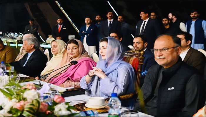 'New era': Punjab CM nominee Maryam Nawaz reveals five-year game plan