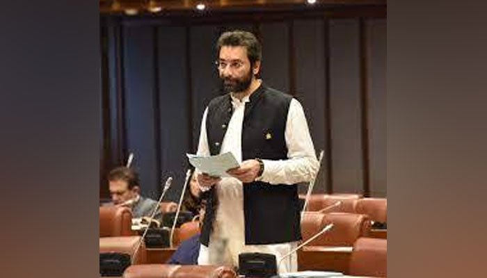 Pakistani Parliamentarian Joins IMF & World Bank Board