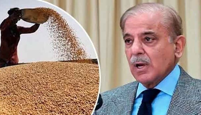 PM Shehbaz Announces 1,000 Agricultural Scholarships