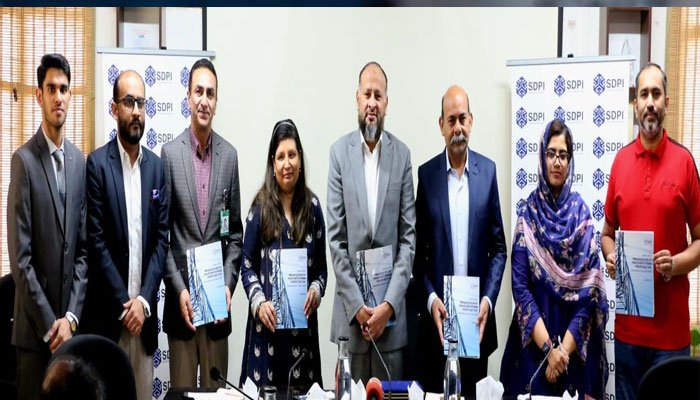 Privatization in the Power Sector is the only way forward: Experts