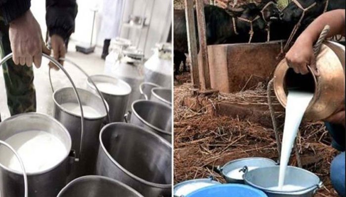 Six children succumb to death after drinking poisonous milk in Khairpur Six children succumb to death after drinking poisonous milk in Khairpur