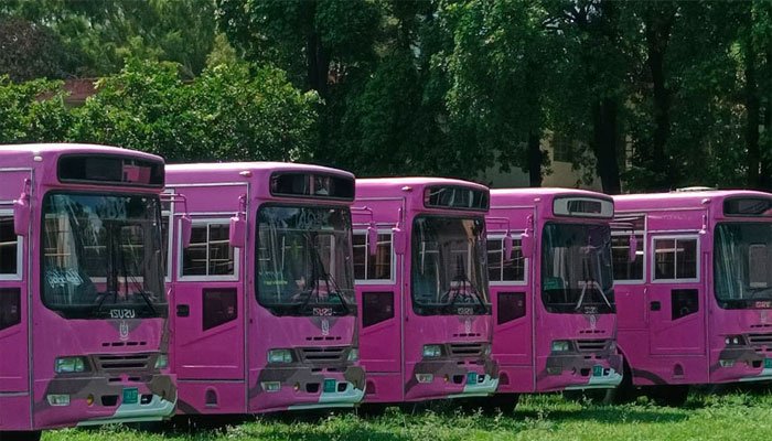 Free 'Pink Bus Service' launched for female students, teachers