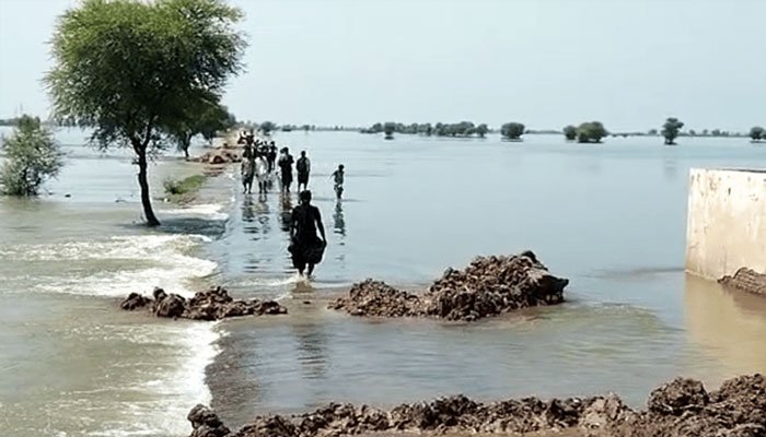 Three children drown in Dadu floodwaters