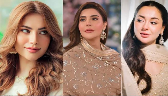 5 Pakistani Actresses Who Have Opted for Cheek Fillers