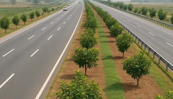 Pakistan Launches Initiative to Plant Fruit Trees Along Highways, Motorways