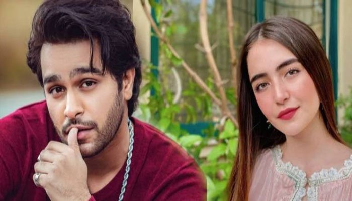 Asim Azhar & Meerub Ali End Their Engagement