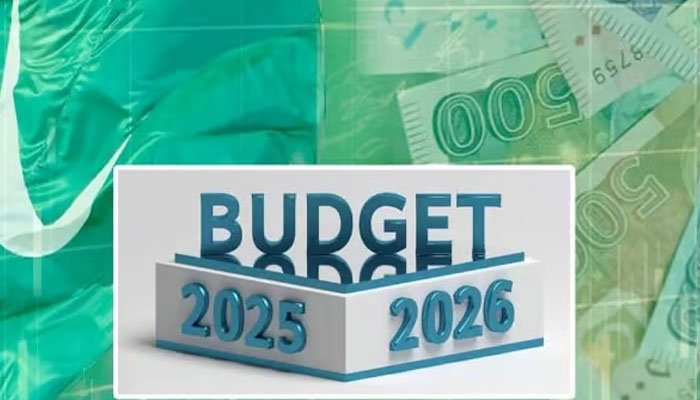 Budget 2025-26: Govt Proposes Rs1tr for Development Projects