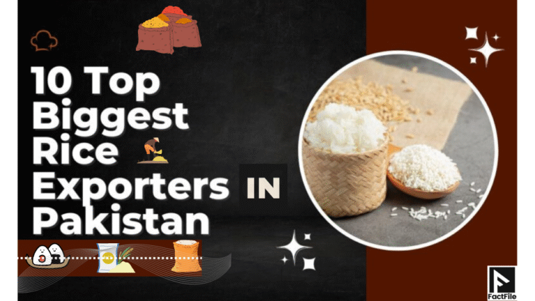 Top 10 Rice Exporters in Pakistan