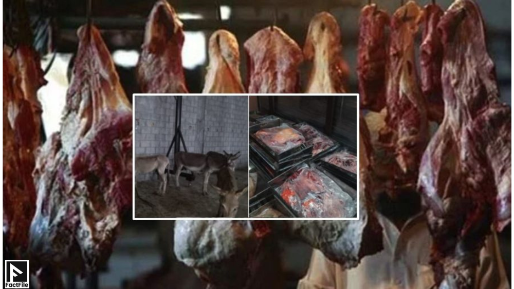 900+ Kg Donkey Meat Recovered from Islamabad