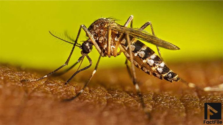 New Drug Turns Human Blood into Mosquito Killer