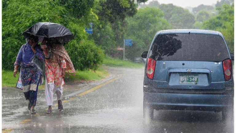 PDMA Issues Flood Alert in Punjab