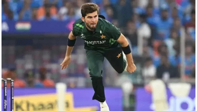 Shaheen Afridi best wicket-taker in ODI cricket