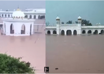Gurdwara Kartarpur Sahib almost completely submerged in water after heavy rain