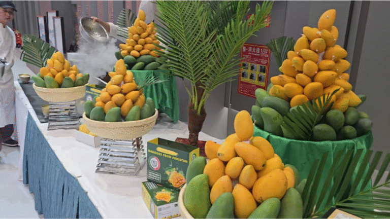 Pakistan Mango Festival in Beijing