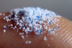 Microplastics in Your Body Be Harming Your Health