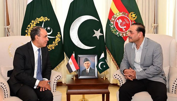 COAS, Egyptian FM Vow to Deepen Defence, Strategic Ties