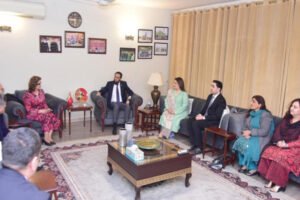 Pakistan, Tajikistan Agree to Strengthen Cultural, Digital Media Cooperation