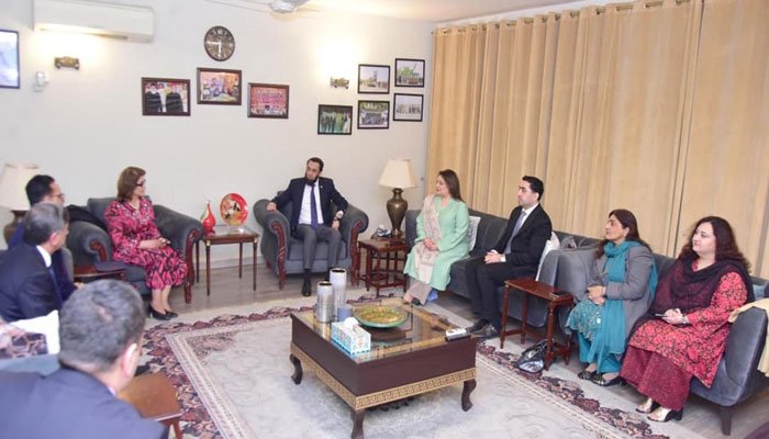 Pakistan, Tajikistan Agree to Strengthen Cultural, Digital Media Cooperation