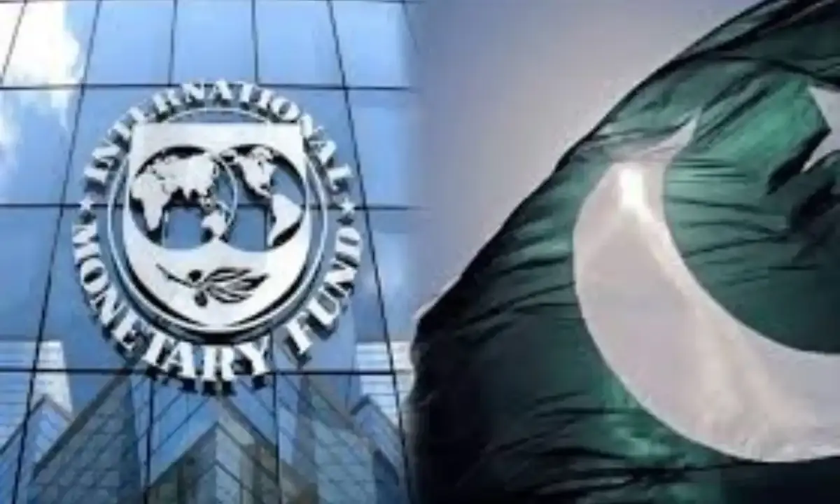 IMF