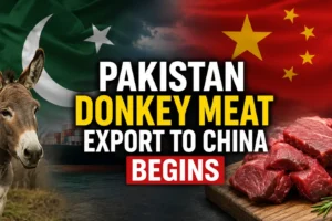 Pakistan Donkey Meat Export to China Begins